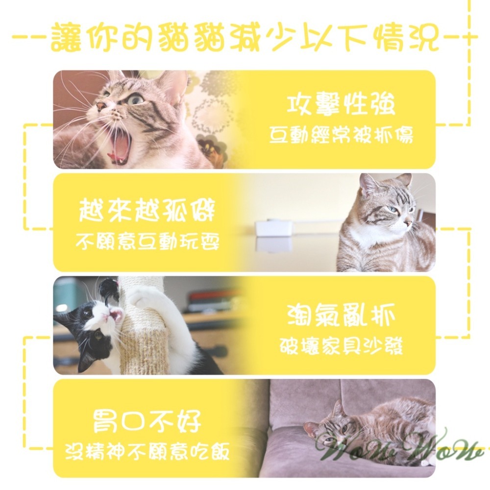 【台灣出貨】❤寵物玩具 逗貓彈簧鼠 貓玩具 逗貓棒 貓抓板 逗貓玩具 貓咪玩具 寵物玩具【WOWWOW】-細節圖2