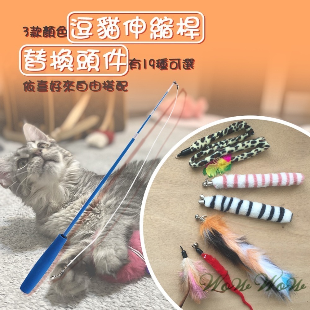 【台灣出貨】❤寵物玩具 釣貓逗貓棒 逗貓棒 可換頭 三節伸縮逗貓棒 貓玩具 逗貓球 逗貓 貓咪玩具【WOWWOW】-細節圖3