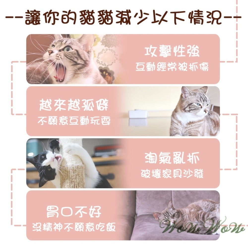 【台灣出貨】❤寵物玩具 木天蓼棒棒糖毛絨玩具 水果造型 木天蓼 潔牙棒 貓草 貓薄荷 絨毛玩具 貓玩具【WOWWOW】-細節圖2