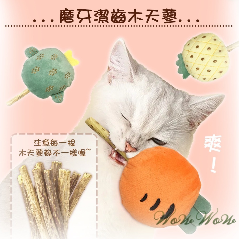 【台灣出貨】❤寵物玩具 木天蓼棒棒糖毛絨玩具 水果造型 木天蓼 潔牙棒 貓草 貓薄荷 絨毛玩具 貓玩具【WOWWOW】-細節圖3