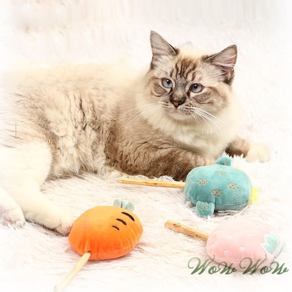 【台灣出貨】❤寵物玩具 木天蓼棒棒糖毛絨玩具 水果造型 木天蓼 潔牙棒 貓草 貓薄荷 絨毛玩具 貓玩具【WOWWOW】-細節圖8