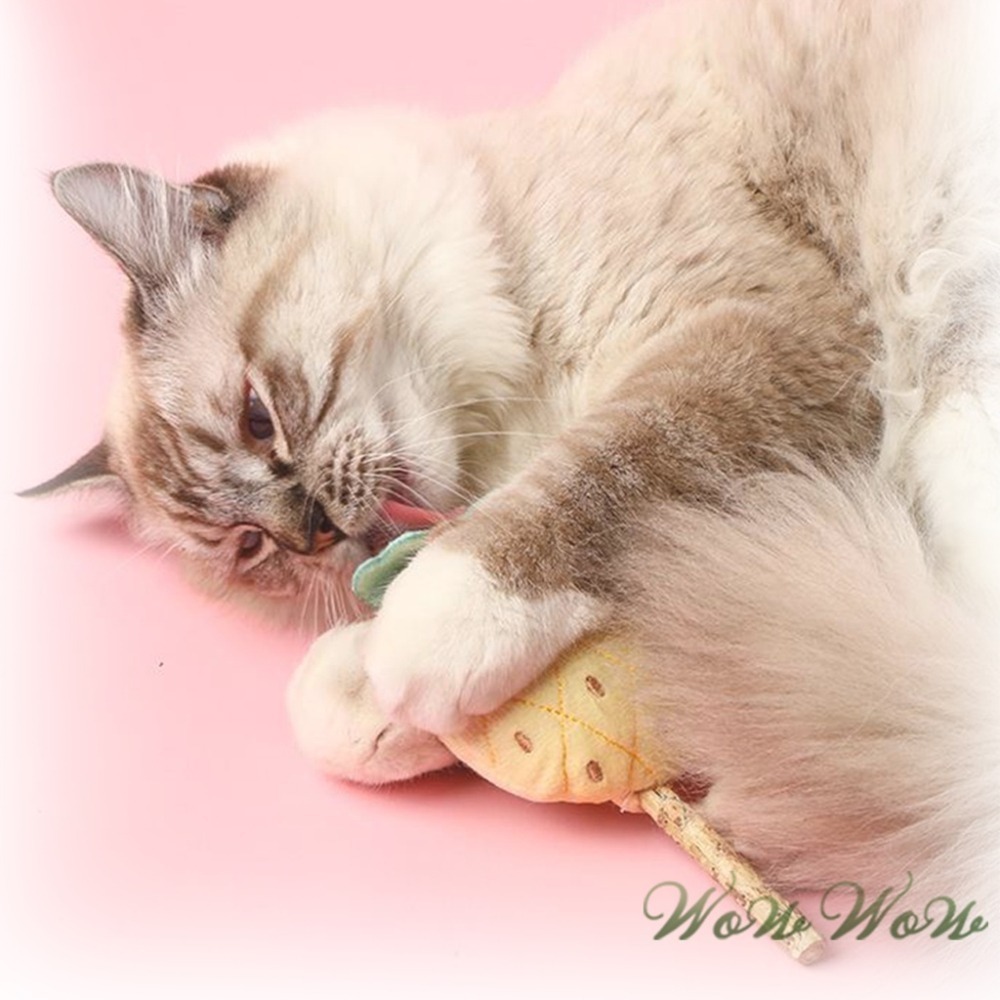 【台灣出貨】❤寵物玩具 木天蓼棒棒糖毛絨玩具 水果造型 木天蓼 潔牙棒 貓草 貓薄荷 絨毛玩具 貓玩具【WOWWOW】-細節圖9