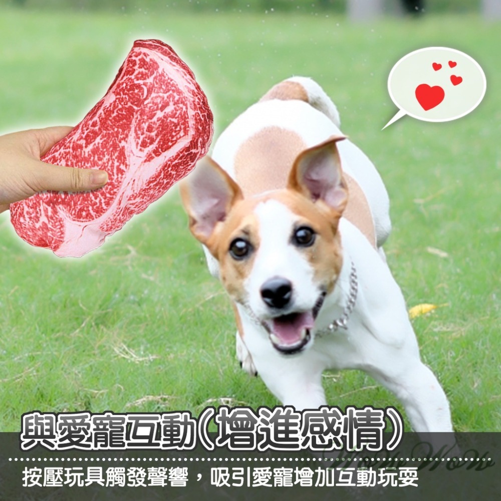 【台灣出貨】❤寵物玩具 牛津布仿真牛排 發聲玩具 撕咬玩具 擠壓玩具 紓壓玩具 解悶玩具 貓狗玩具【WOWWOW】-細節圖5