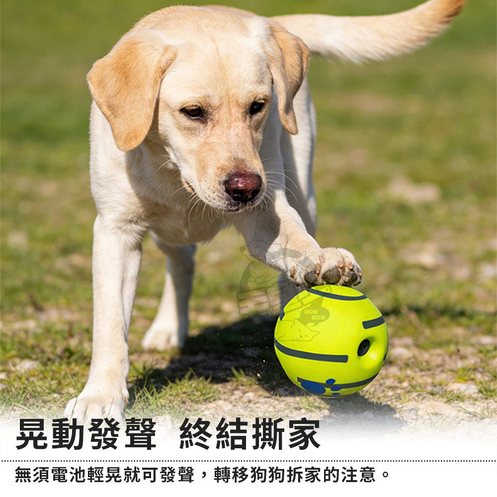 【毛皇上】自嗨笑笑球 怪叫球 魔音球 發聲球 磨牙訓練球 寵物玩具球 狗玩具-細節圖5