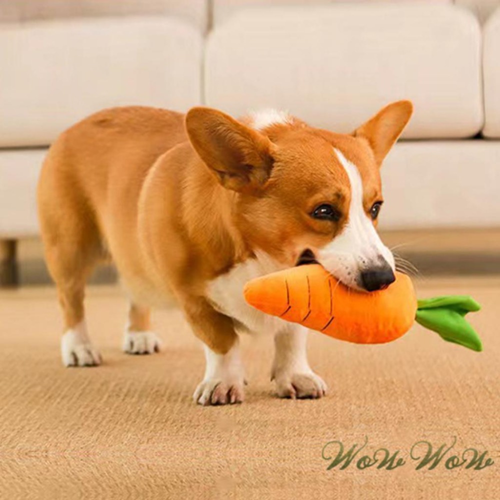 【台灣出貨開發票】❤寵物玩具 超大紅蘿蔔發聲玩具 紅蘿蔔 毛絨玩具 發聲玩具 啃咬玩具 狗狗玩具【WOWWOW】-細節圖8