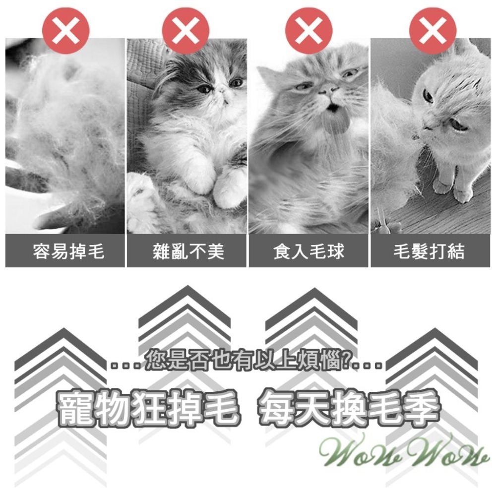 【台灣出貨】❤寵物用品 寵物除毛針梳 橢圓款 細針 粗針 除毛梳 貓咪梳子 狗狗梳子 梳毛單品 寵物梳毛【WOWWO】-細節圖2