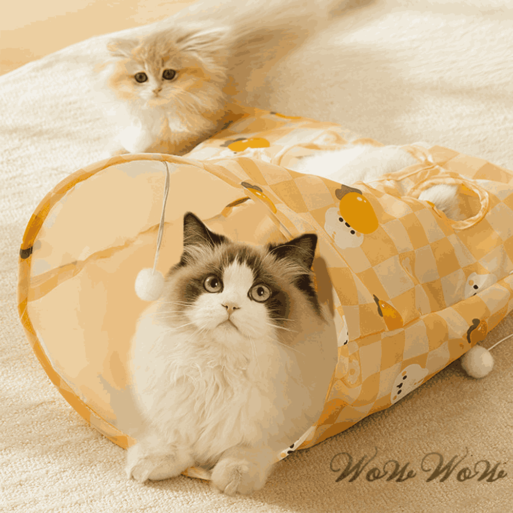 【台灣出貨】❤寵物玩具 響紙貓隧道 折疊貓隧道 貓隧道袋 貓通道 響紙隧道 逗貓玩具 貓咪玩具【WOWWOW】-細節圖8