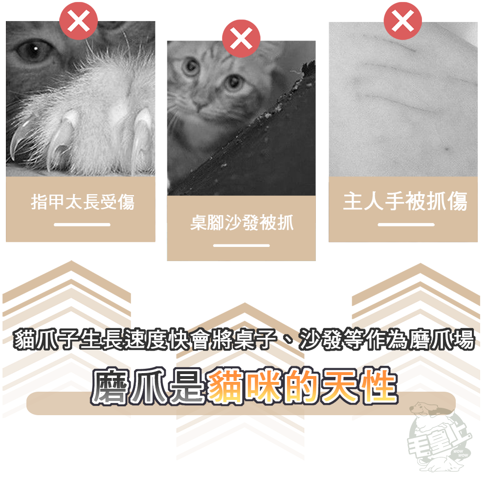 【毛皇上】加大瓦楞抓抓板 瓦楞紙貓抓板 正方/長方/波浪/平圓 瓦楞紙 貓抓板 貓玩具-細節圖2