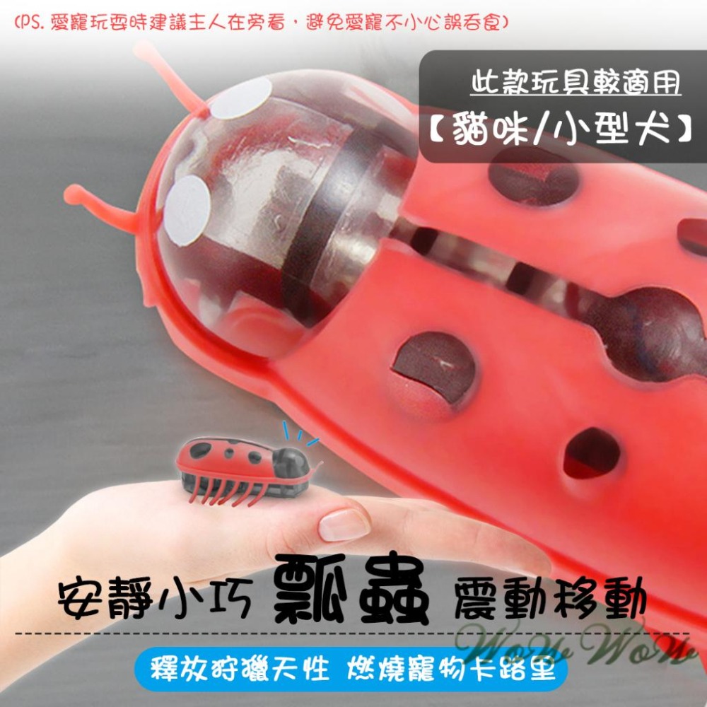 【台灣出貨開發票】❤寵物玩具 電動瓢蟲玩具 小瓢蟲 牙刷蟲 小巧安靜 震動移動 貓狗玩具 寵物玩具蟲 【WOWWOW】-細節圖3