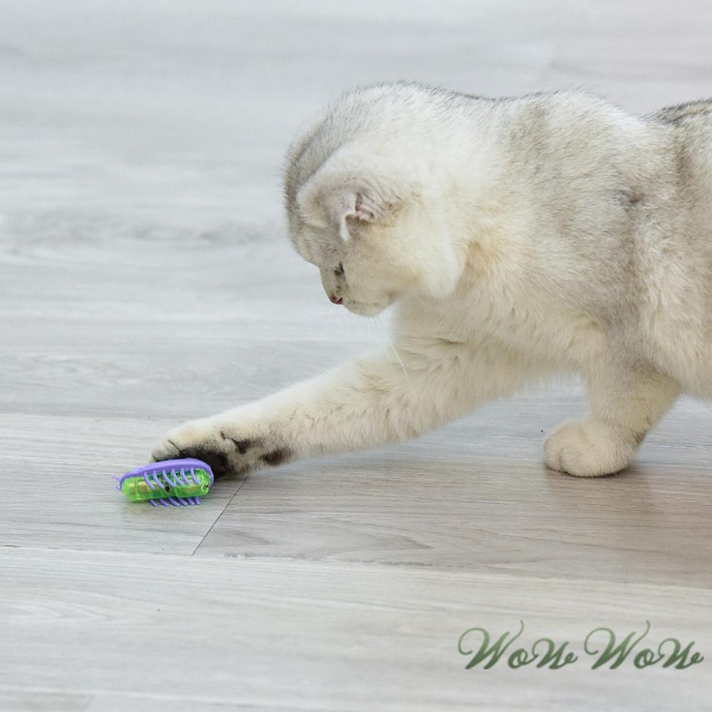 【台灣出貨開發票】❤寵物玩具 電動瓢蟲玩具 小瓢蟲 牙刷蟲 小巧安靜 震動移動 貓狗玩具 寵物玩具蟲 【WOWWOW】-細節圖6