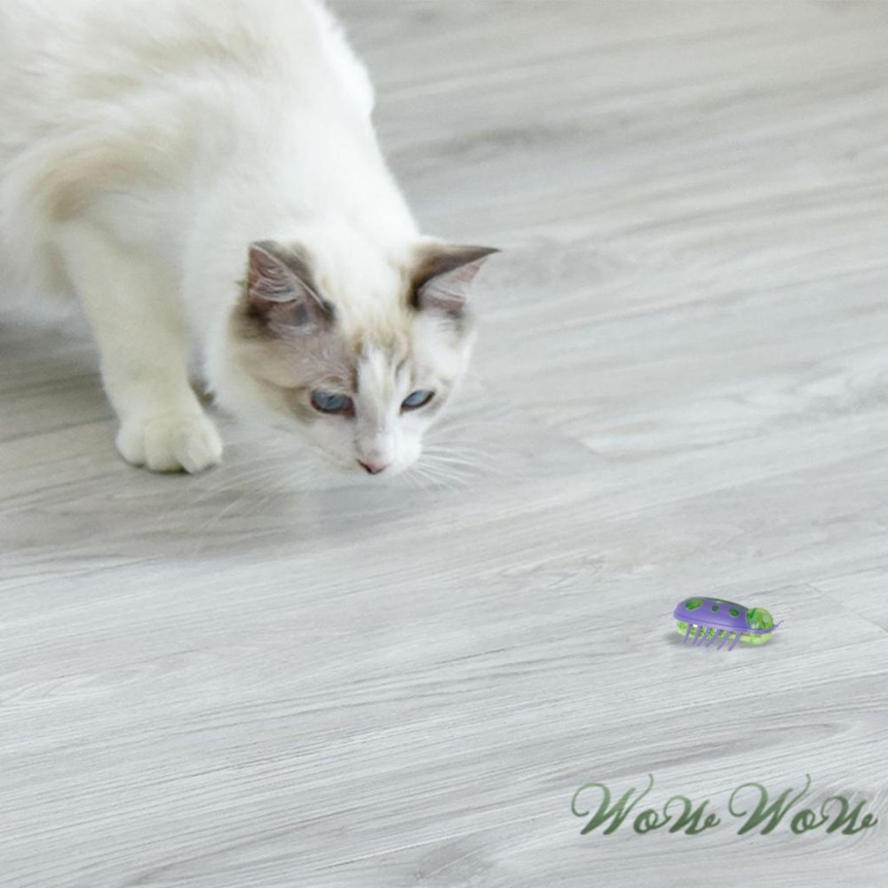 【台灣出貨開發票】❤寵物玩具 電動瓢蟲玩具 小瓢蟲 牙刷蟲 小巧安靜 震動移動 貓狗玩具 寵物玩具蟲 【WOWWOW】-細節圖7