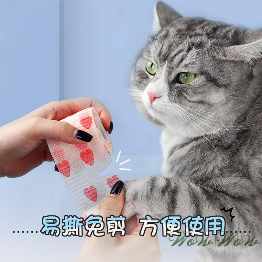【毛皇上】❤寵物用品 寵物繃帶 彈力自黏 無紡布 寵物包紮 運動繃帶 貓狗腳套 寵物彈力繃帶【WOWWOW】-細節圖4