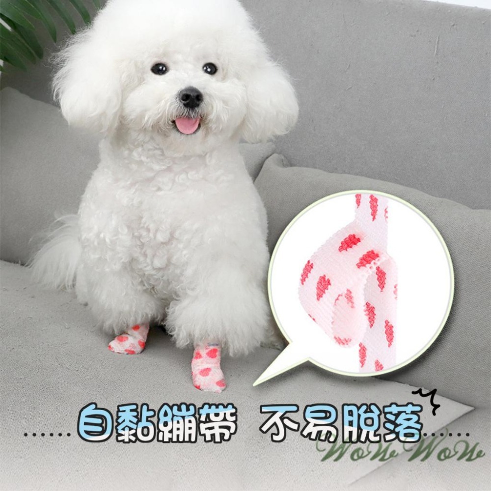 【毛皇上】❤寵物用品 寵物繃帶 彈力自黏 無紡布 寵物包紮 運動繃帶 貓狗腳套 寵物彈力繃帶【WOWWOW】-細節圖5