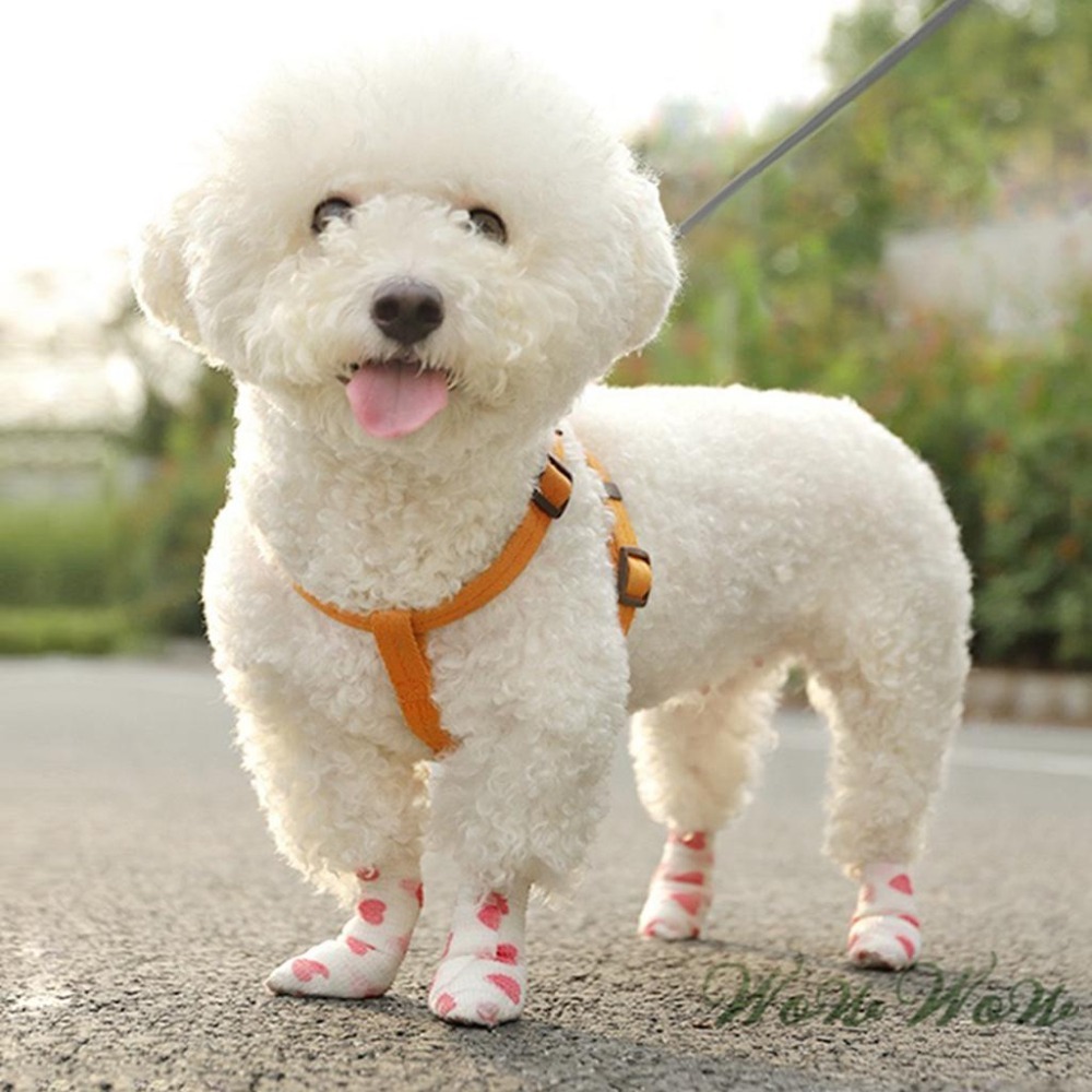 【毛皇上】❤寵物用品 寵物繃帶 彈力自黏 無紡布 寵物包紮 運動繃帶 貓狗腳套 寵物彈力繃帶【WOWWOW】-細節圖9