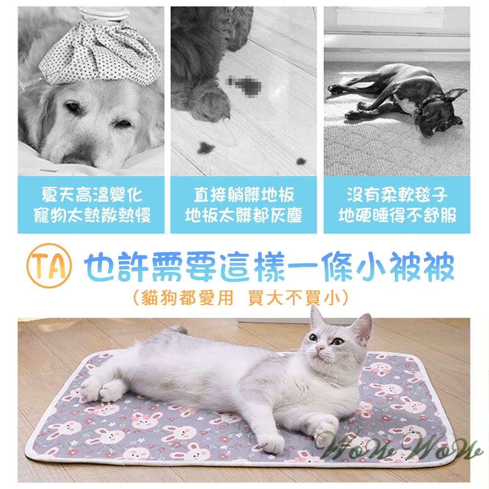 【挑戰最低價】❤寵物用品 寵物乳膠涼感墊 可愛卡通 透氣墊 涼感墊 寵物涼墊 貓狗睡毯 寵物乳膠墊【WOWWOW】-細節圖2