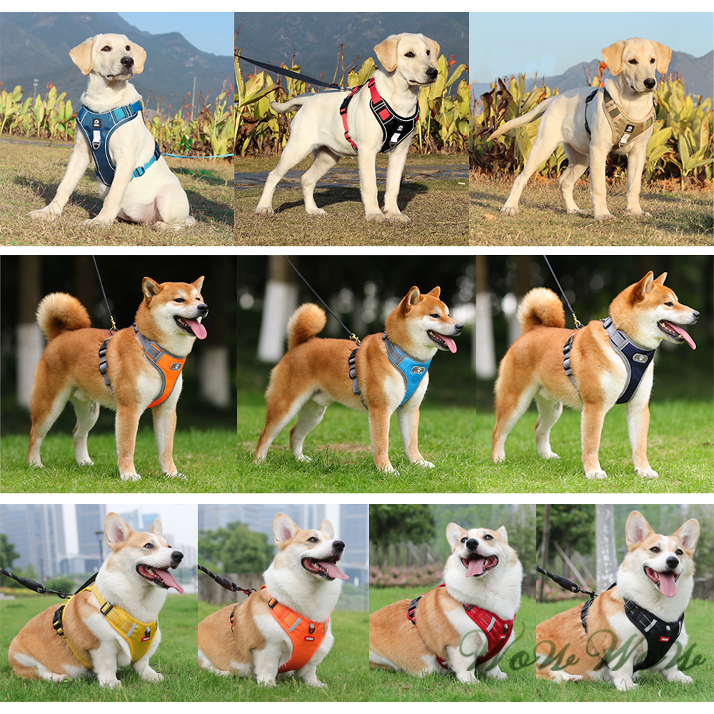 【挑戰最低價】❤寵物用品 H型反光胸背 H型胸背帶 夜間反光 寵物胸背帶 胸背衣 狗狗胸背帶 外出散步【WOWWOW】-細節圖9