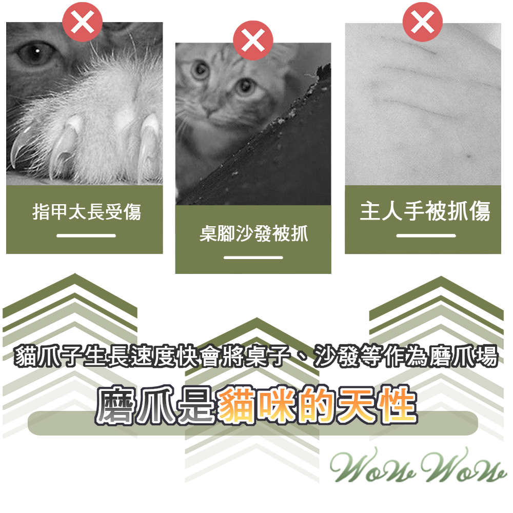 【台灣出貨】❤寵物玩具 牆貼貓抓板 小花貓抓板 可貼牆 納米膠 高密度瓦楞紙 貓抓板 貓咪抓板 貓玩具【WOWWOW】-細節圖2