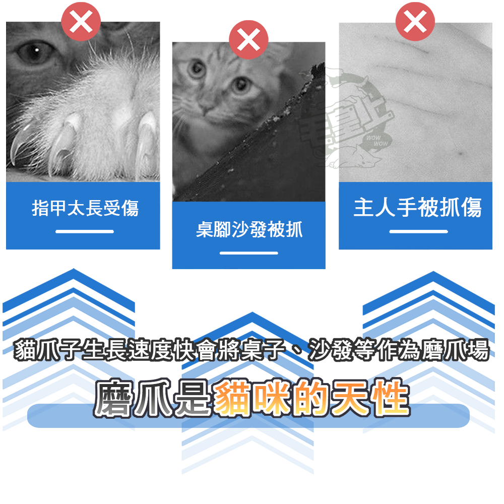 【毛皇上】❤貓抓窩 劍麻貓抓窩 紙編貓抓窩 劍麻繩 紙繩 泰迪絨布 貓抓板 貓玩具-細節圖2