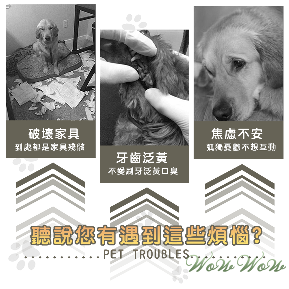【台灣出貨】❤寵物玩具 棉麻繩結互動玩具 手拉互動玩具 手拉棉繩 菠蘿絨 棉麻布 發聲玩具 貓狗玩具【WOWWOW】-細節圖2