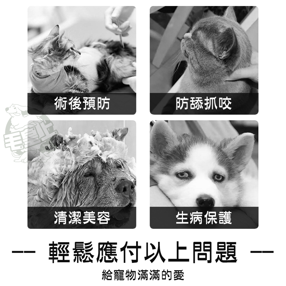 【台灣出貨】❤寵物用品 寵物造型防舔圈 防舔防咬頭圈 魔鬼氈 絕育防護 可愛羞恥圈 伊莉莎白圈 寵物脖套【WOWWOW】-細節圖2