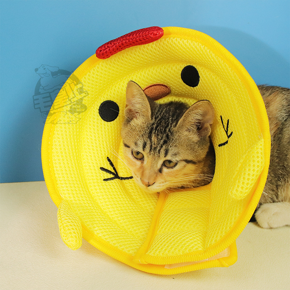 【台灣出貨】❤寵物用品 寵物造型防舔圈 防舔防咬頭圈 魔鬼氈 絕育防護 可愛羞恥圈 伊莉莎白圈 寵物脖套【WOWWOW】-細節圖8