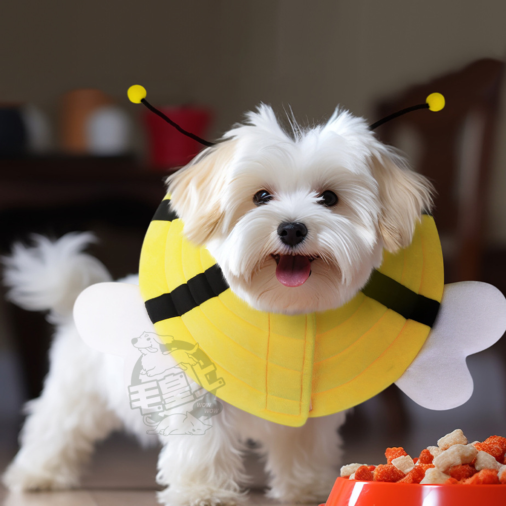 【台灣出貨】❤寵物用品 寵物造型防舔圈 防舔防咬頭圈 魔鬼氈 絕育防護 可愛羞恥圈 伊莉莎白圈 寵物脖套【WOWWOW】-細節圖9