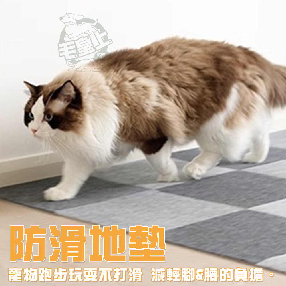 【台灣出貨】❤寵物用品 地貼防滑墊 免膠自吸附 靜電吸附 一撕即貼 隨意剪貼 DIY防滑墊 貓用品【WOWWOW】-細節圖3