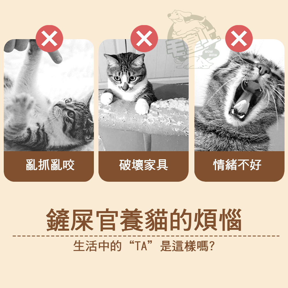 【台灣出貨】❤寵物玩具 太空艙貓跳台 太空跳台 貓跳台 太空艙貓窩 可玩可睡 貓咪用品 貓咪玩具【WOWWOW】-細節圖2