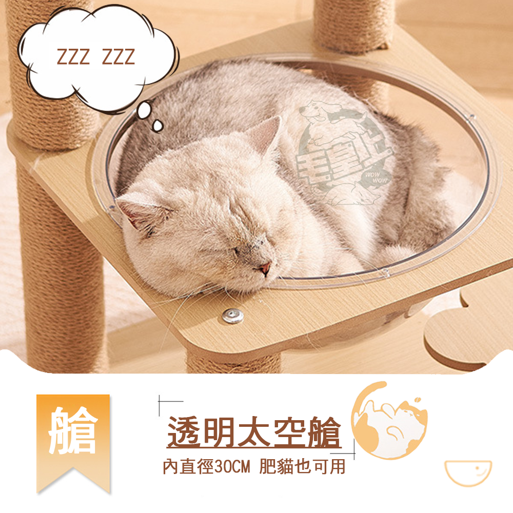 【台灣出貨】❤寵物玩具 太空艙貓跳台 太空跳台 貓跳台 太空艙貓窩 可玩可睡 貓咪用品 貓咪玩具【WOWWOW】-細節圖5