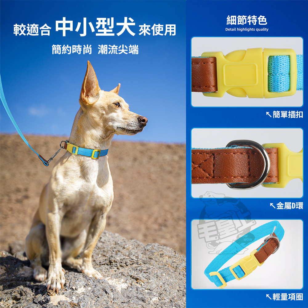 【毛皇上】❤寵物用品 輕量項圈牽引繩 皮革裝飾 輕量化 項圈 牽引繩 寵物牽引繩 狗狗牽繩 外出散步【WOWWOW】-細節圖2