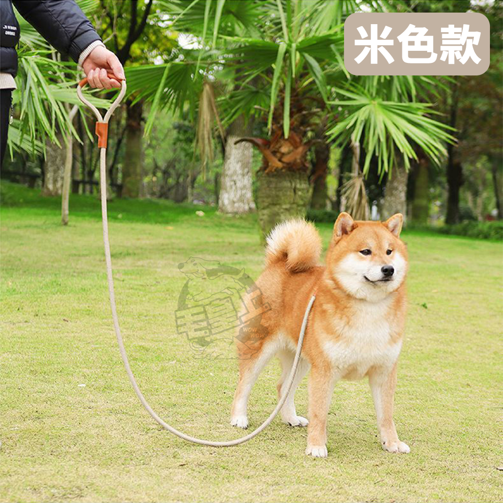 【毛皇上】❤寵物用品 皮革反光牽引繩 皮革裝飾 尼龍編織 夜間反光 牽繩 寵物牽引繩 狗狗牽繩 外出散步【WOWWOW】-細節圖7