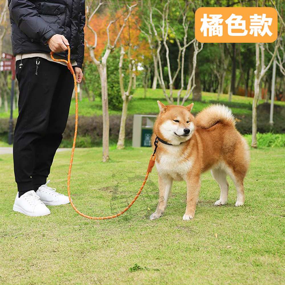 【毛皇上】❤寵物用品 皮革反光牽引繩 皮革裝飾 尼龍編織 夜間反光 牽繩 寵物牽引繩 狗狗牽繩 外出散步【WOWWOW】-細節圖8