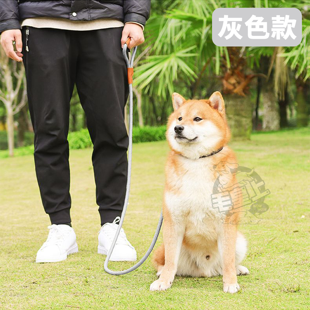 【毛皇上】❤寵物用品 皮革反光牽引繩 皮革裝飾 尼龍編織 夜間反光 牽繩 寵物牽引繩 狗狗牽繩 外出散步【WOWWOW】-細節圖9