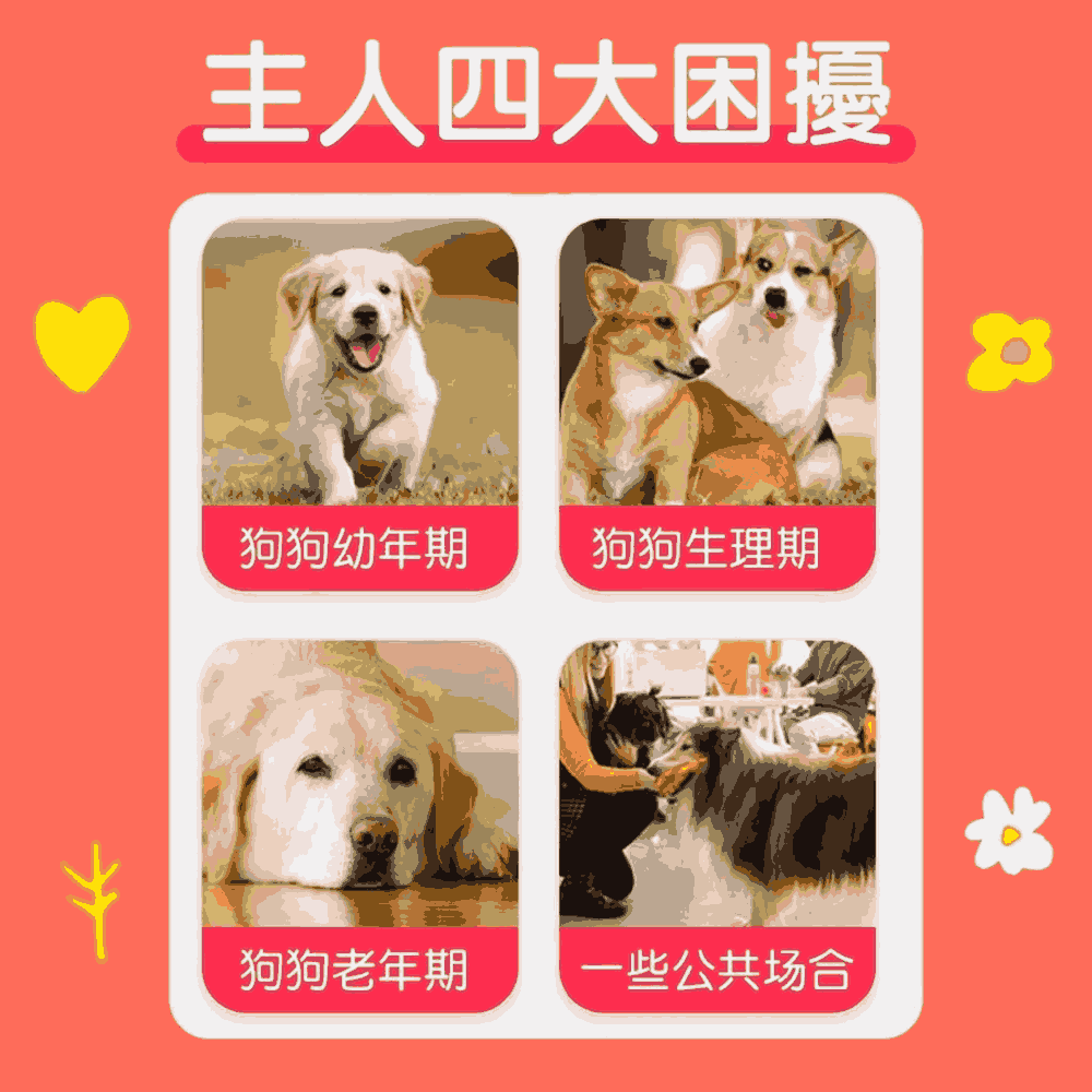 【毛皇上】❤寵物用品 寵物禮貌帶 尿布 尿褲 禮貌帶/生理褲 紙尿褲 拋棄式尿布 母狗 公狗 寵物尿布【WOWWOW】-細節圖2