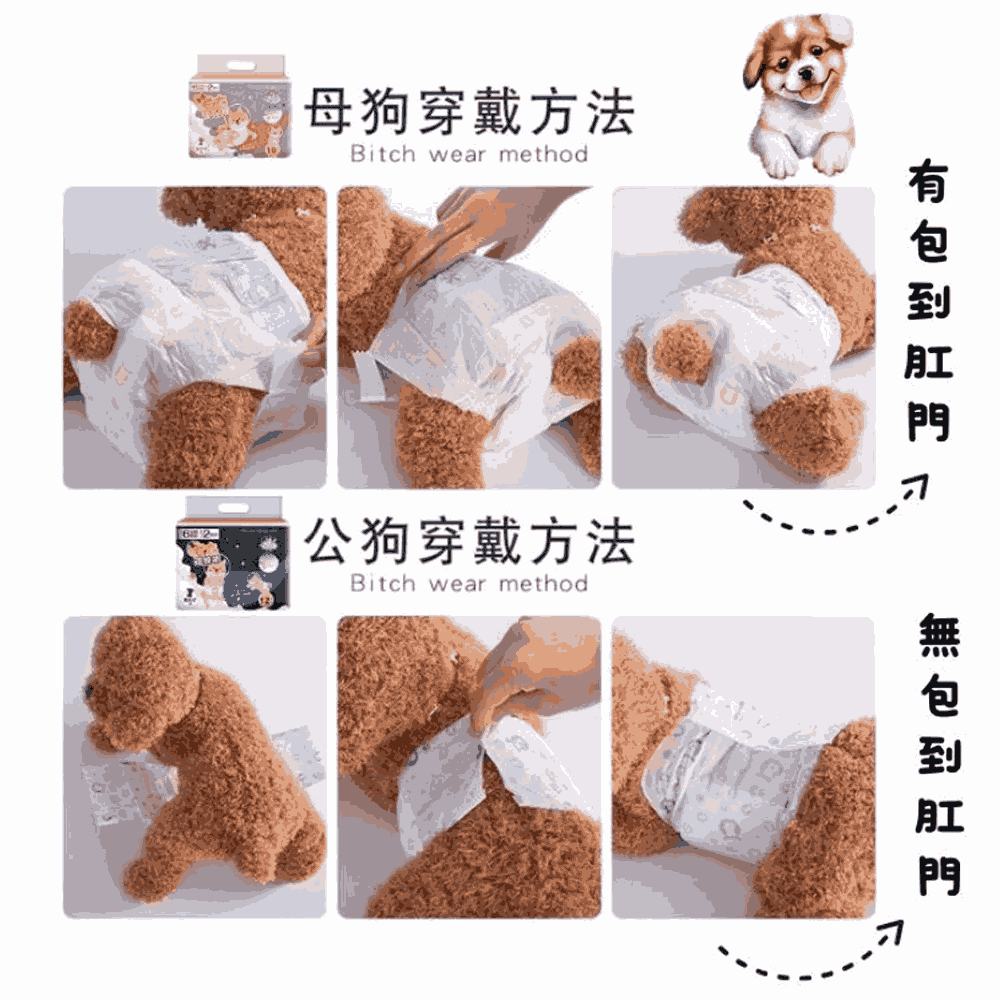 【毛皇上】❤寵物用品 寵物禮貌帶 尿布 尿褲 禮貌帶/生理褲 紙尿褲 拋棄式尿布 母狗 公狗 寵物尿布【WOWWOW】-細節圖6