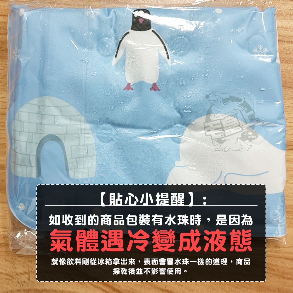 【毛皇上】❤寵物用品 急凍冷凝膠墊 凝膠款 可愛卡通 凝膠墊 涼感墊 寵物涼墊 貓狗睡墊 寵物凝膠墊【WOWWOW】-細節圖3