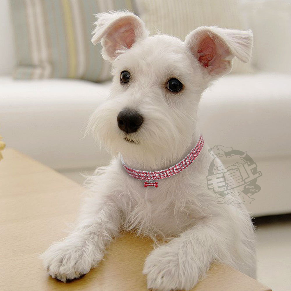 【毛皇上】❤寵物用品 寵物萊茵石項圈 萊茵石裝飾 彈性伸縮 項圈 貓狗飾品 寵物飾品 寵物項圈【WOWWOW】-細節圖4