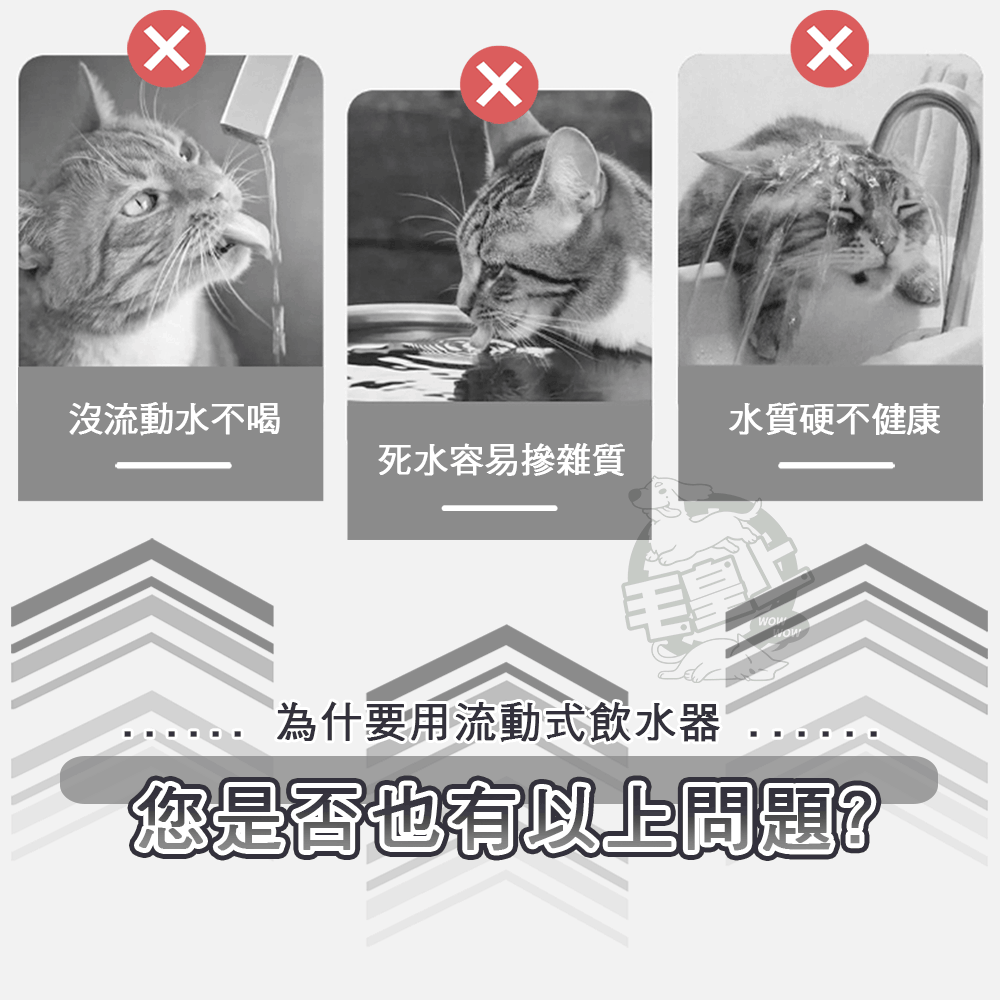 【毛皇上】❤寵物用品 循環飲水餵食器 陶瓷碗 1200ML大容量飲水 貓喝水機 貓碗 自動飲水機【WOWWOW】-細節圖2