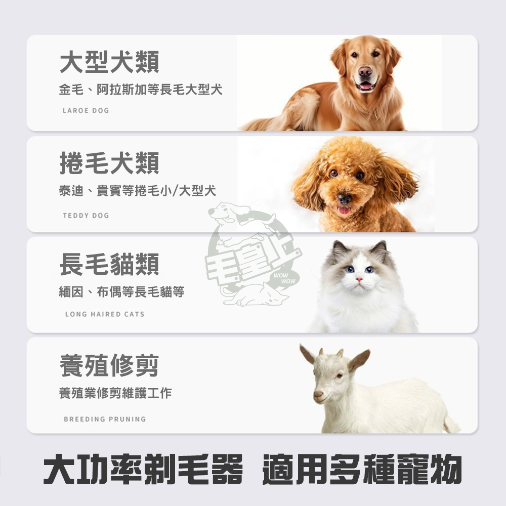 【毛皇上】❤電推剪 剃毛電推剪 充電款  電動剃毛器  寵物剃毛器-細節圖2
