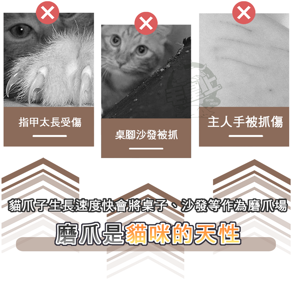 【毛皇上】❤貓抓窩 毛氈貓抓窩 毛氈窩 一體成形 加大舒適 貓抓板-細節圖2