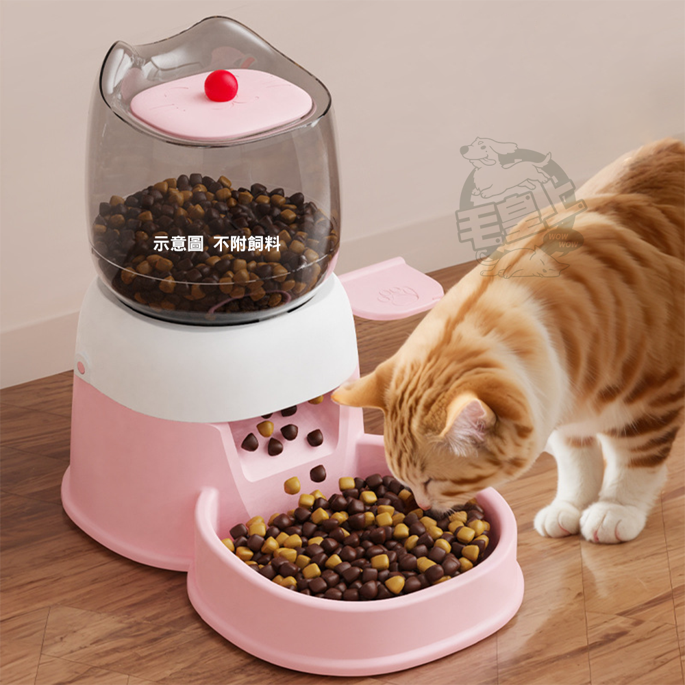 【毛皇上】❤寵物餵食器 自助按壓餵食器 2L 自助餵食器 益智按壓-細節圖6