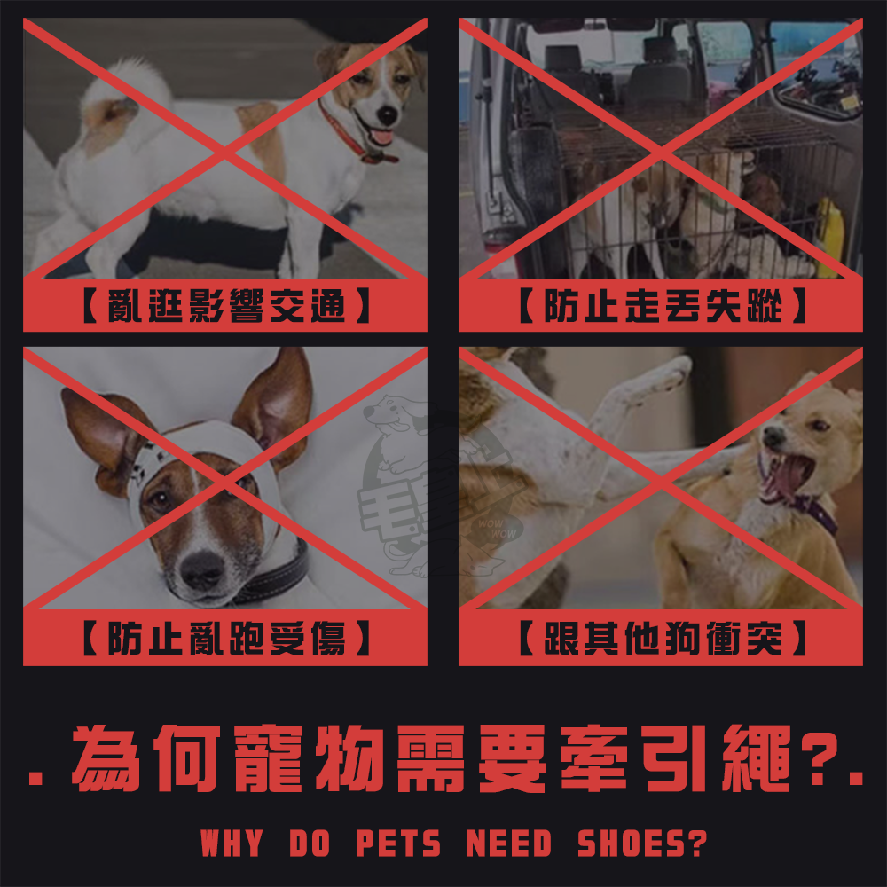 【毛皇上】❤寵物牽繩 跨肩牽繩 防爆衝 牽引繩 狗狗牽繩 外出散步-細節圖2