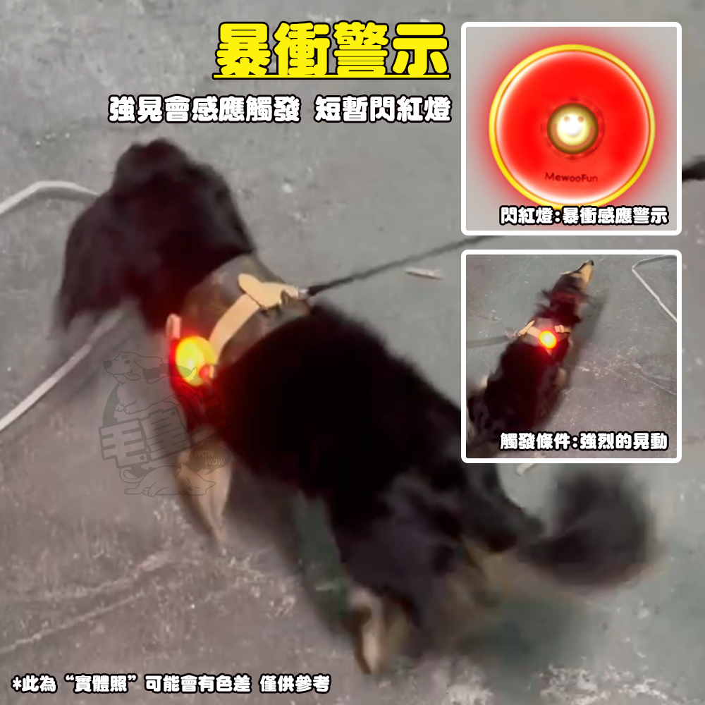 【毛皇上】❤寵物夜行燈 寵物安全燈 寵物吊飾 充電款 LED發光吊燈 夜間散步-細節圖6