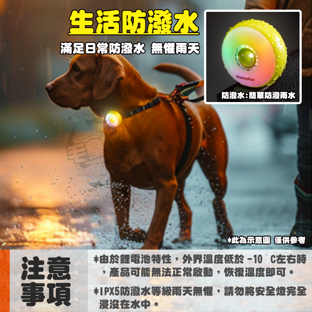 【毛皇上】❤寵物夜行燈 寵物安全燈 寵物吊飾 充電款 LED發光吊燈 夜間散步-細節圖8