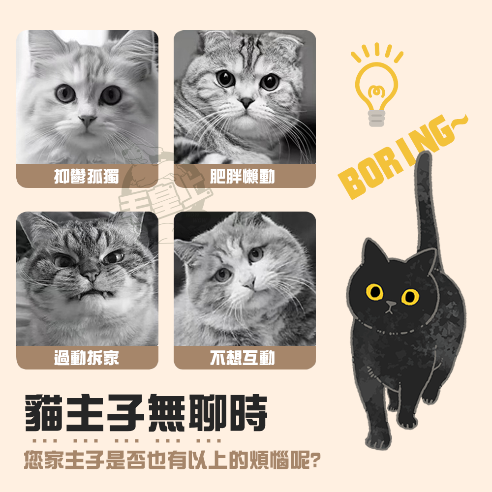 【毛皇上】漏食轉盤搖搖樂 寵物漏食盤 逗貓棒 轉盤 漏食玩具 貓玩具-細節圖2