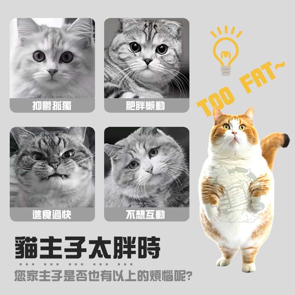 【毛皇上】益智漏食慢食貓碗 藏食碗 慢食碗 漏食碗 轉盤 貓玩具-細節圖2
