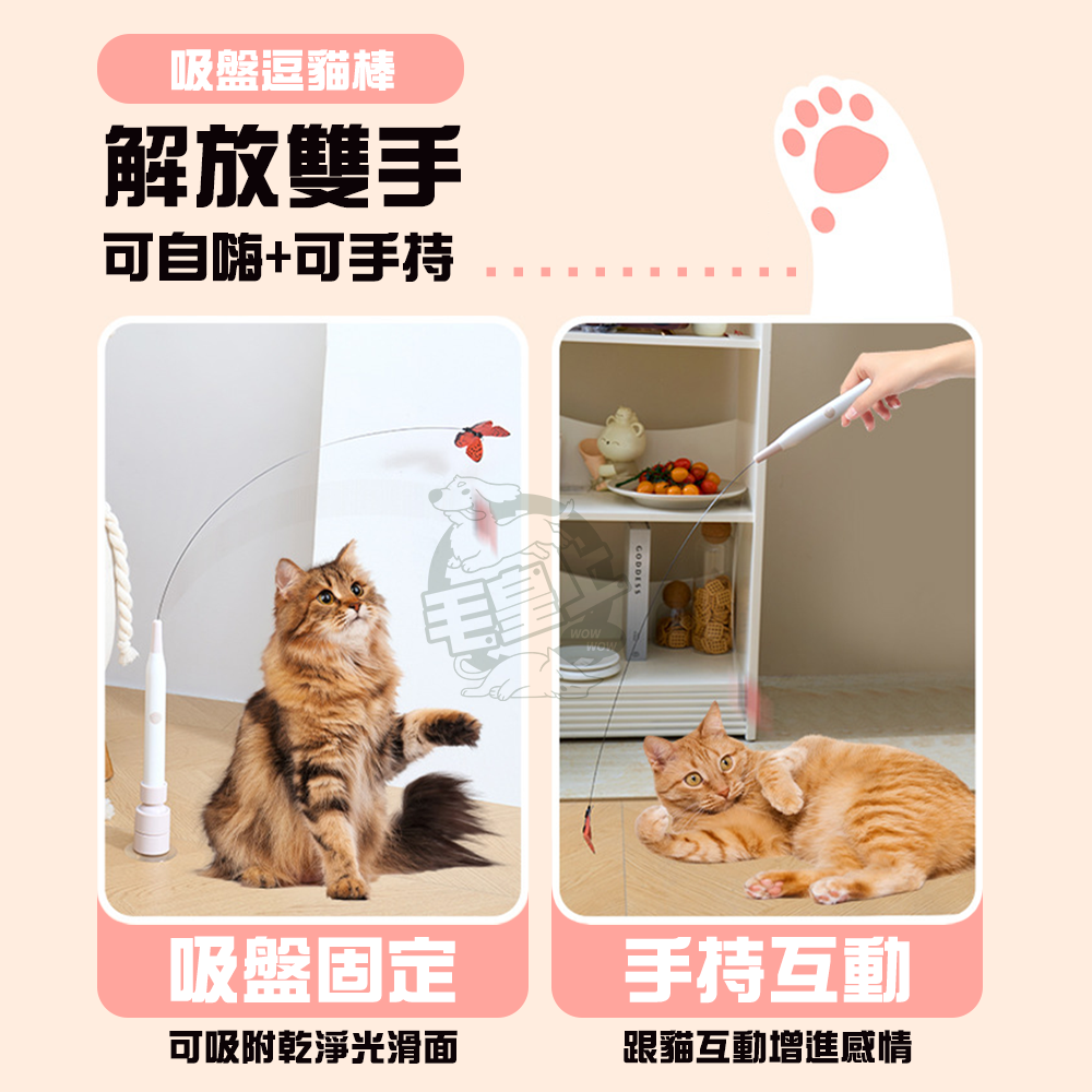 【毛皇上】飛舞蝴蝶逗貓棒 吸盤逗貓棒 自動/手持逗貓 逗貓神器 逗貓棒 貓玩具-細節圖4