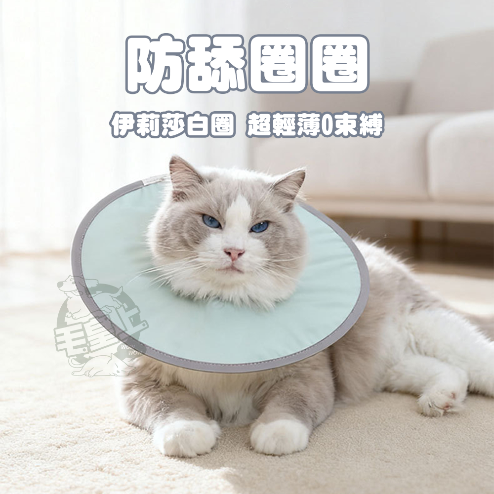 【毛皇上】輕薄防水防舔圈 伊莉莎白圈 寵物頭套 輕薄透氣 零感頸圈 防舔圈-細節圖4