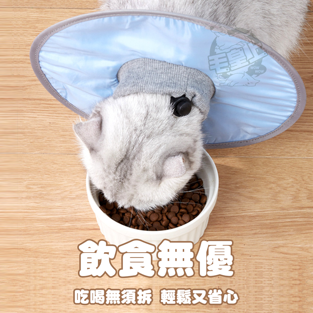 【毛皇上】輕薄防水防舔圈 伊莉莎白圈 寵物頭套 輕薄透氣 零感頸圈 防舔圈-細節圖8