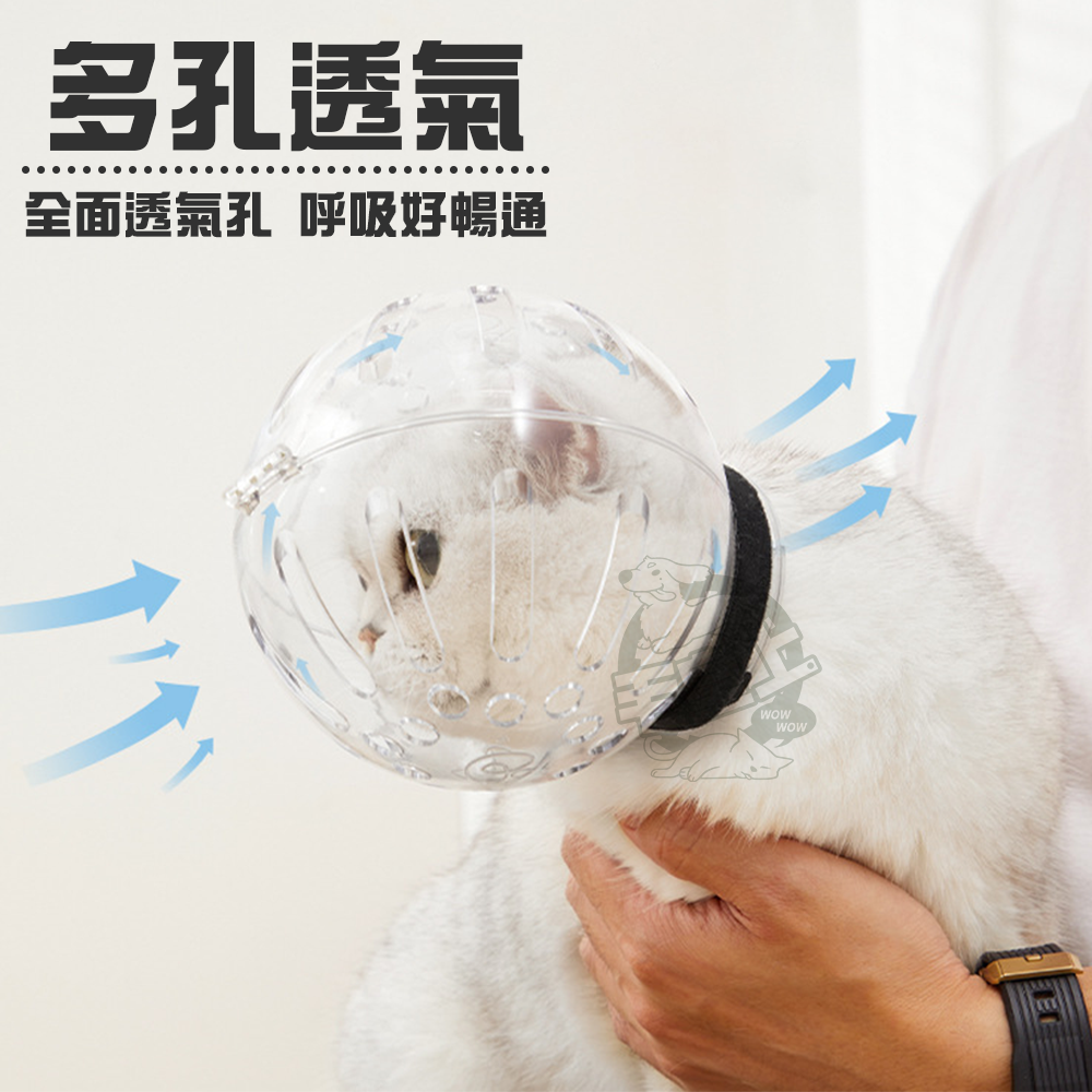 【毛皇上】貓咪太空球罩 太空頭套 透明球罩 防咬神器 剪指甲 防咬頭套 貓用頭套-細節圖4